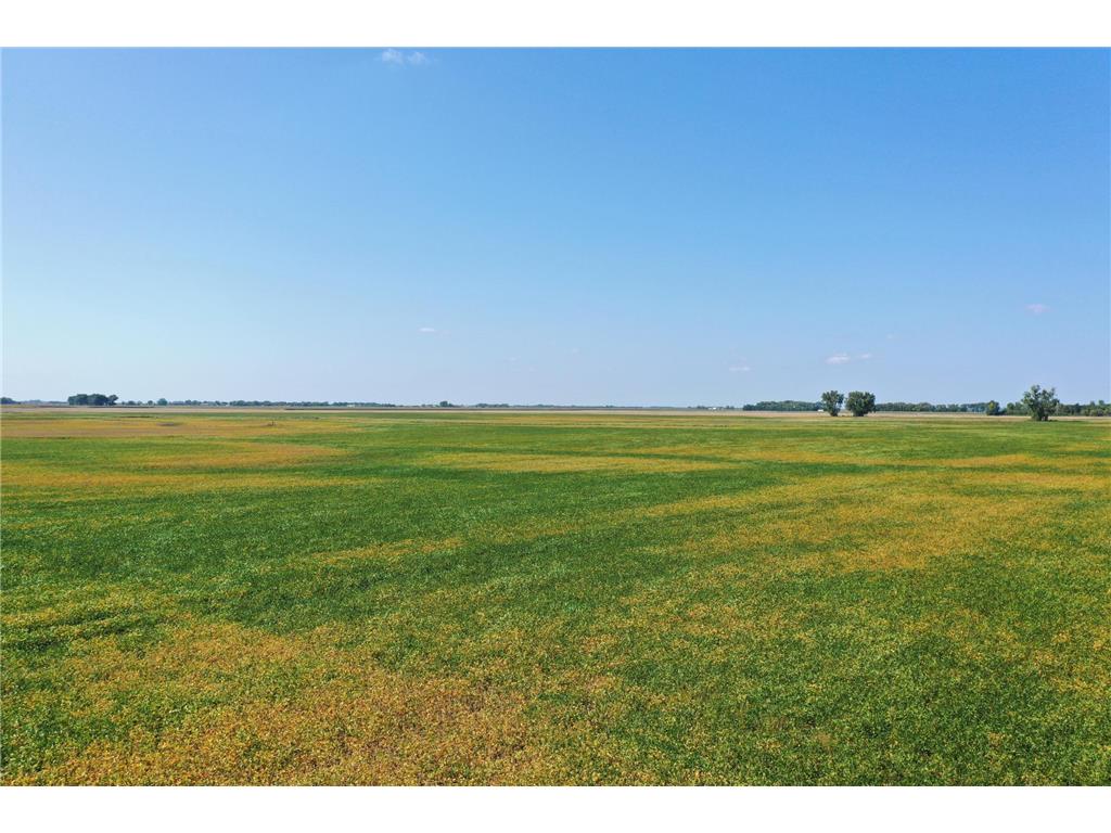 TBD County 8 Brandrup Twp MN 56522 6788004 image2