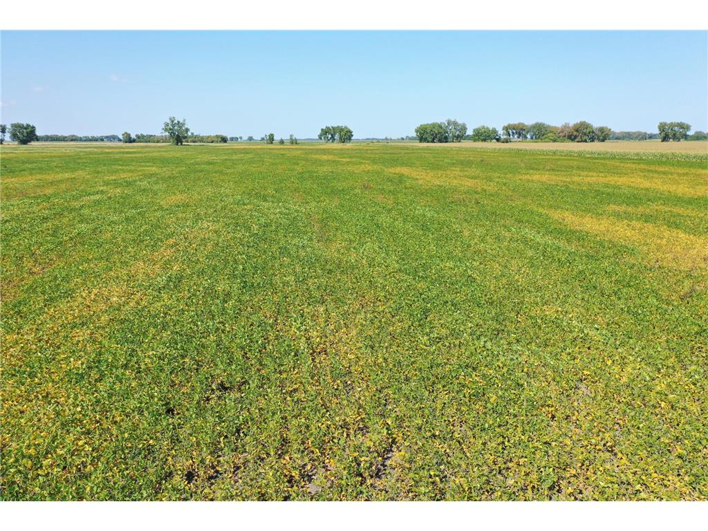 TBD County 8 Brandrup Twp MN 56522 6788004 image3