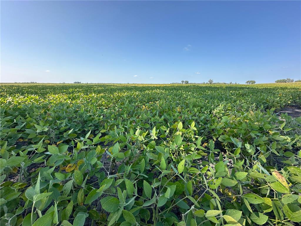 TBD County 8 Brandrup Twp MN 56522 6788004 image4