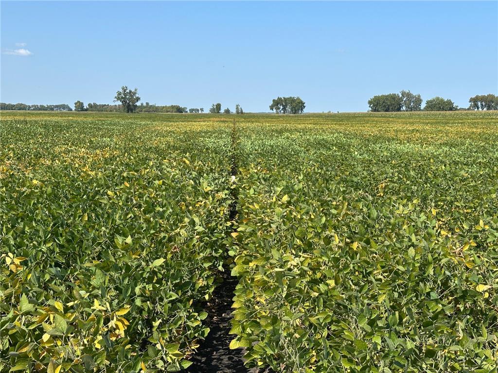 TBD County 8 Brandrup Twp MN 56522 6788004 image7