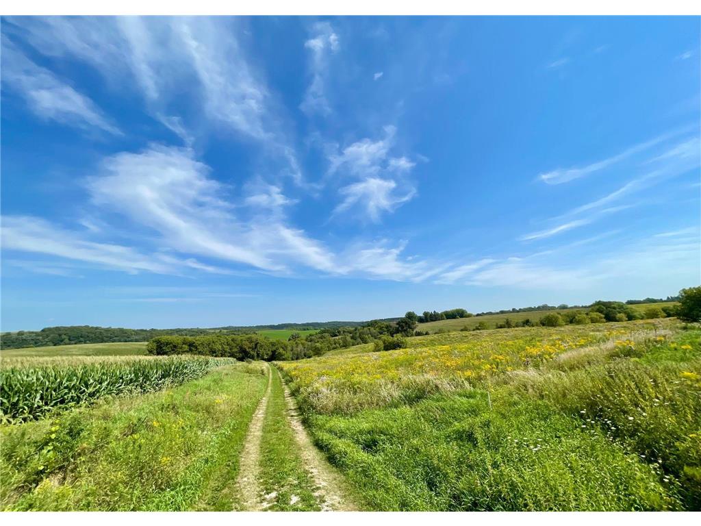 TBD County 8 Spring Grove MN 55954 - Riceford Creek 7036390 image2