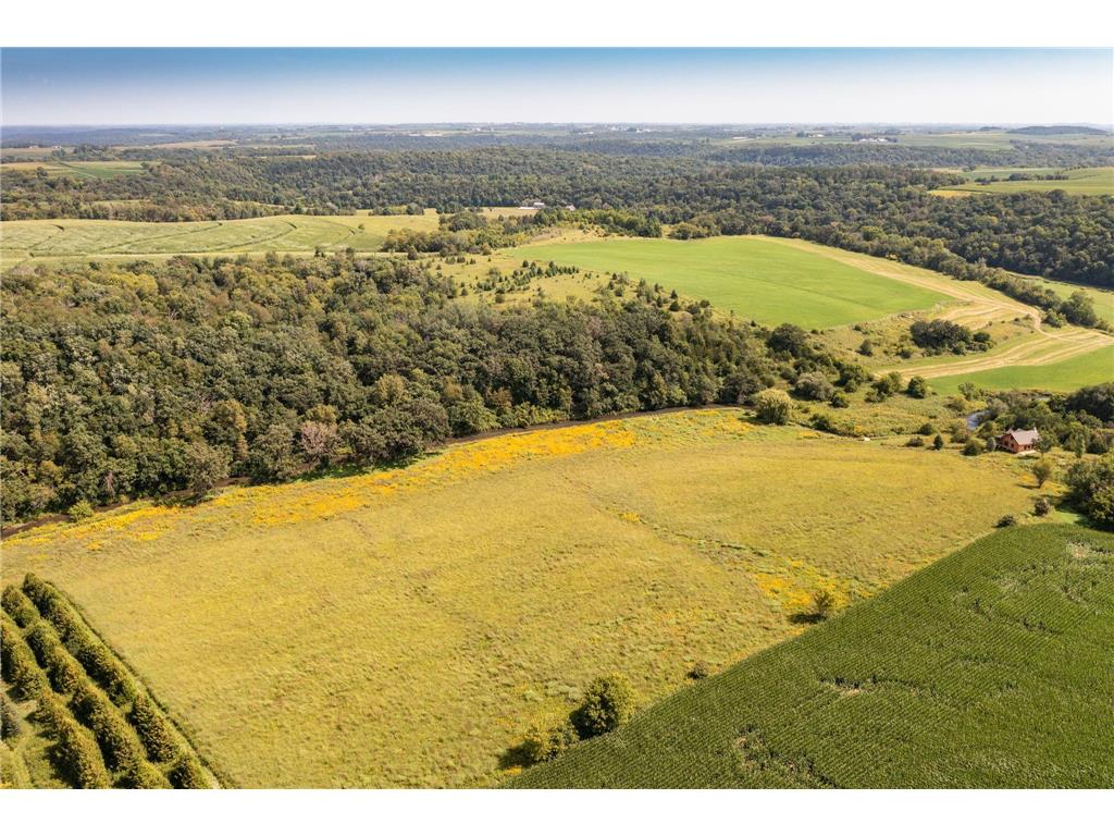 TBD County 8 Spring Grove MN 55954 - Riceford Creek 7036390 image24