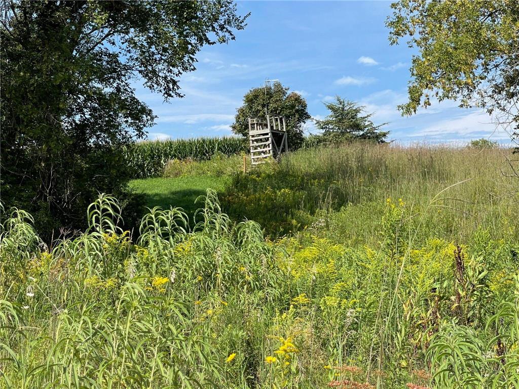 TBD County 8 Spring Grove MN 55954 - Riceford Creek 7036390 image26