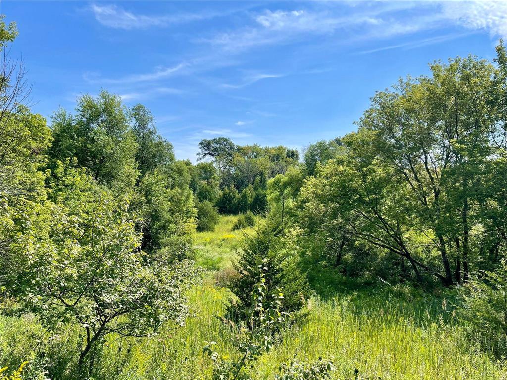TBD County 8 Spring Grove MN 55954 - Riceford Creek 7036390 image36