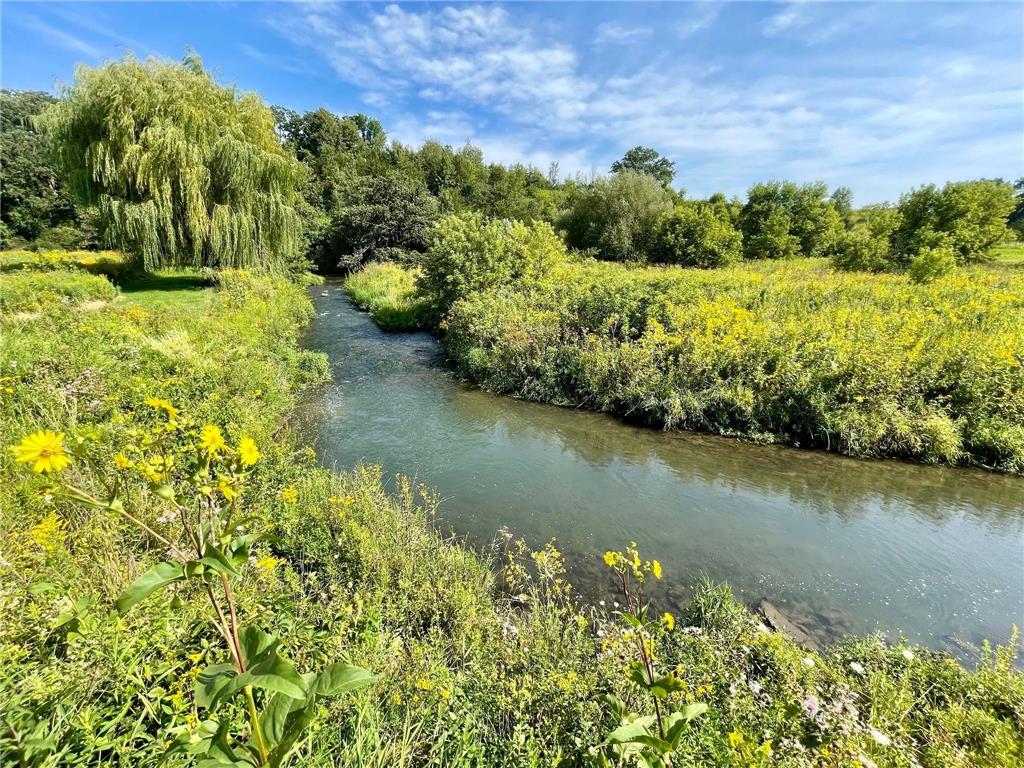 TBD County 8 Spring Grove MN 55954 - Riceford Creek 7036390 image40