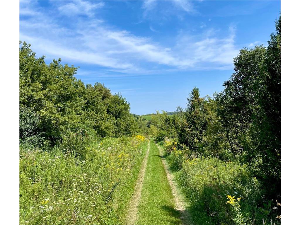 TBD County 8 Spring Grove MN 55954 - Riceford Creek 7036390 image41