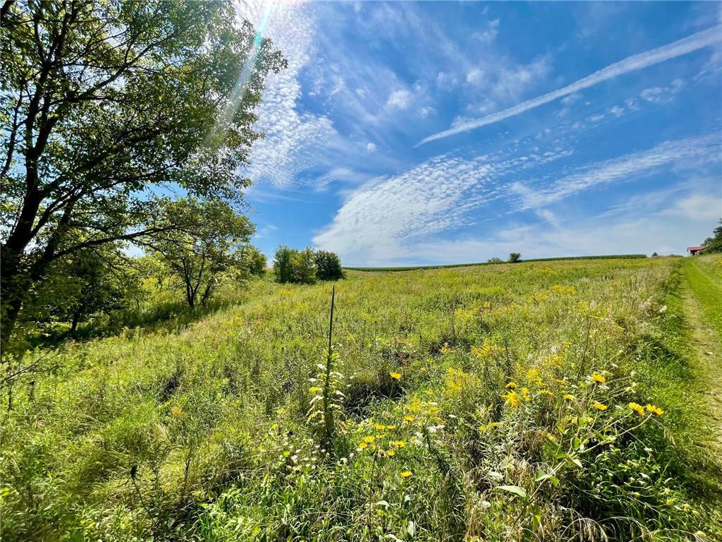 TBD County 8 Spring Grove MN 55954 - Riceford Creek 7036390 image52