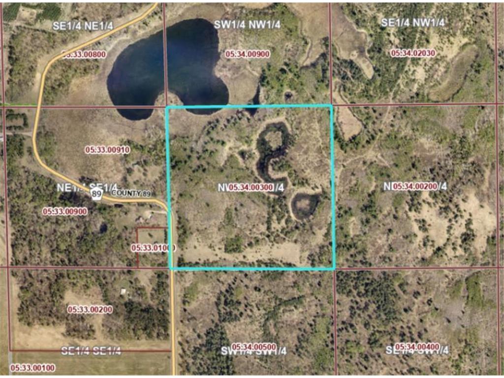 TBD Co Rd 89 Park Rapids MN 56470 6718886 image1