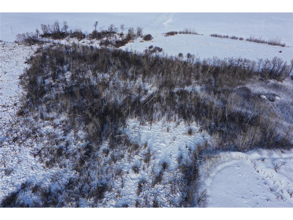 TBD County Highway 10 Fergus Falls MN 56537 7002029 image16