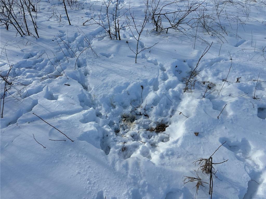 TBD County Highway 10 Fergus Falls MN 56537 7002029 image18