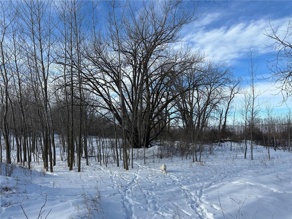 TBD County Highway 10 Fergus Falls MN 56537 7002029 image20