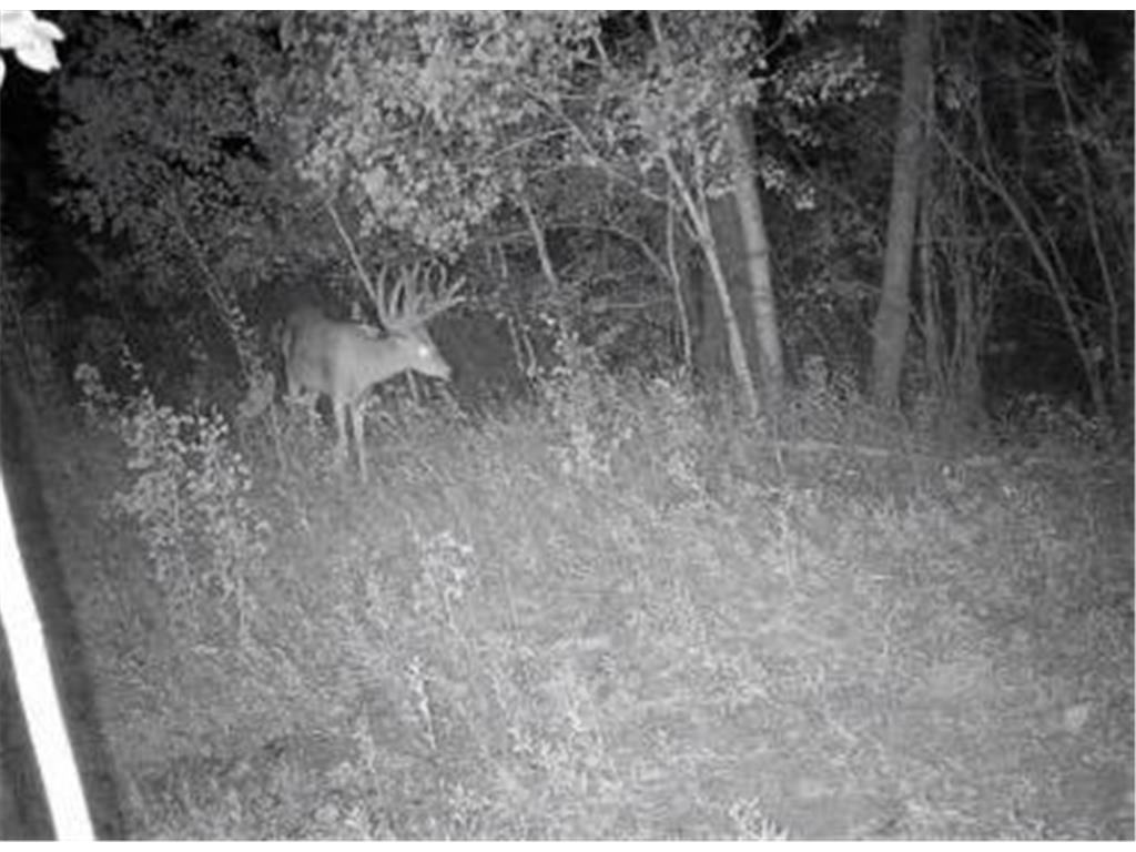 TBD County Highway 10 Fergus Falls MN 56537 7002029 image29