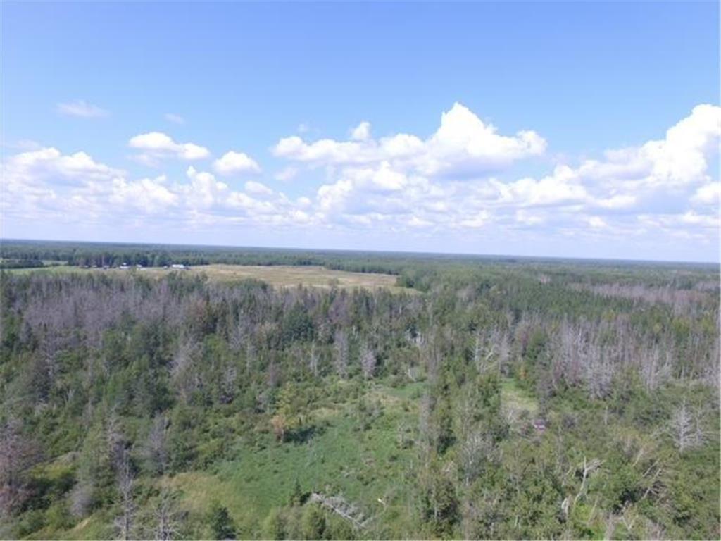 TBD County Highway 133 Meadowlands MN 55765 6320159 image1