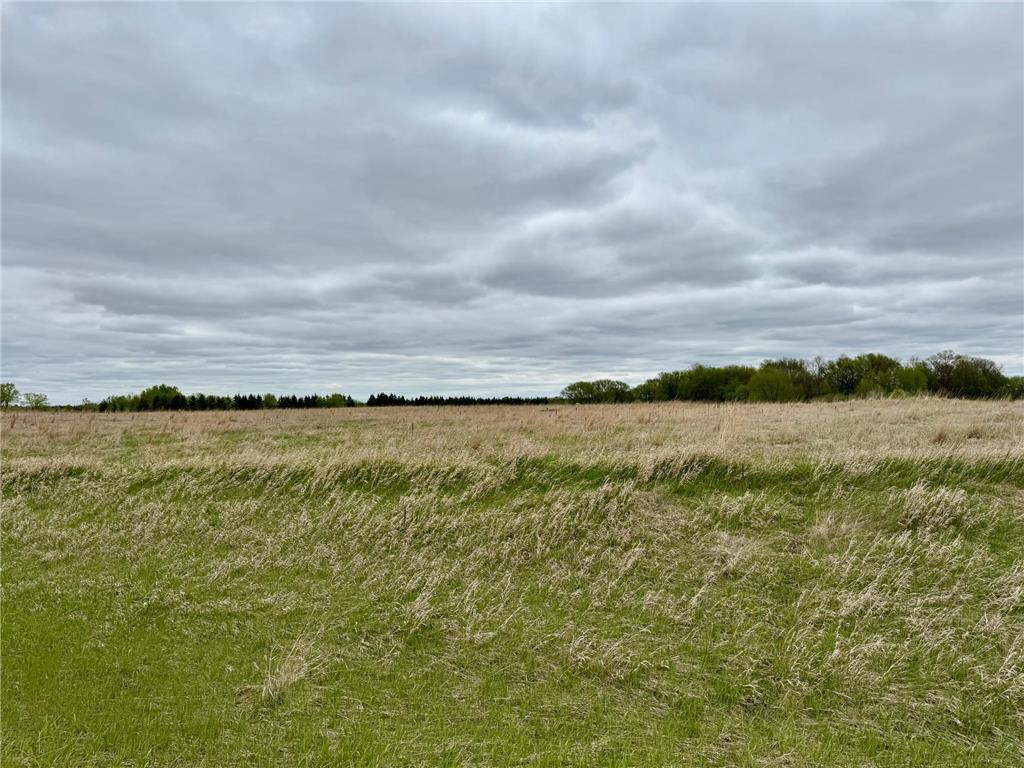 TBD County Highway 138 Parkers Prairie MN 56361 7074929 image3