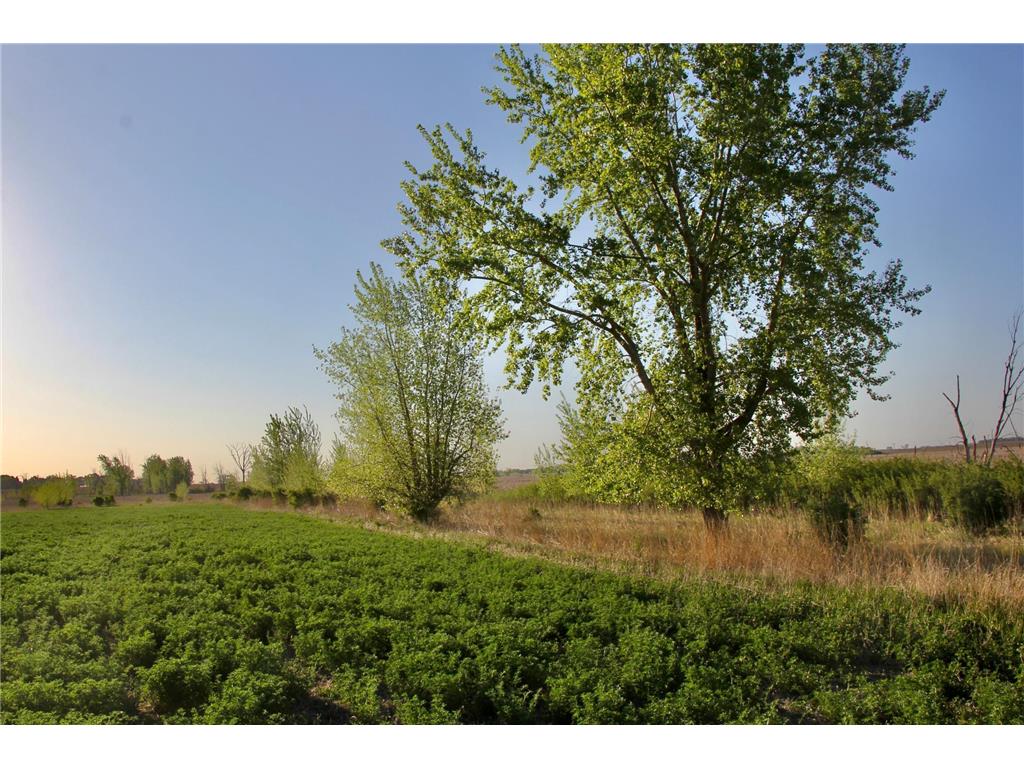 TBD County Highway 14 Madison MN 56256 7014362 image11