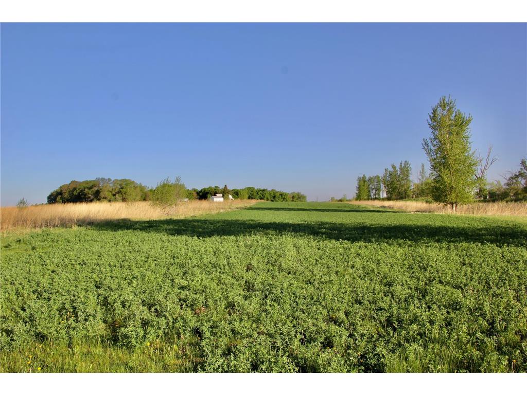 TBD County Highway 14 Madison MN 56256 7014362 image13