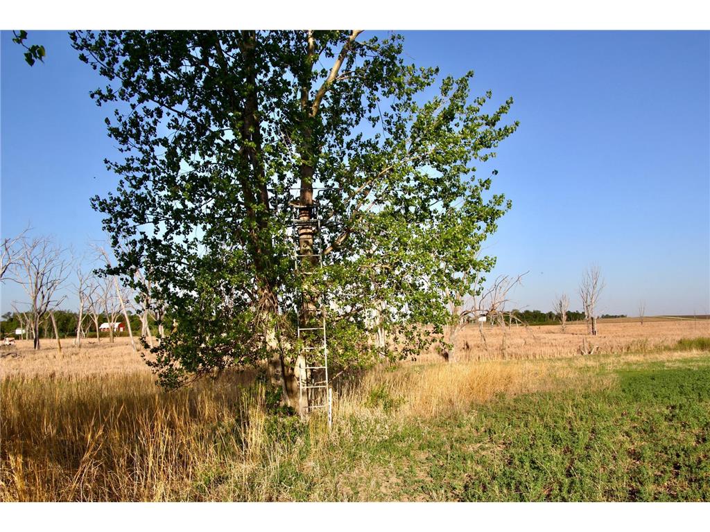 TBD County Highway 14 Madison MN 56256 7014362 image16