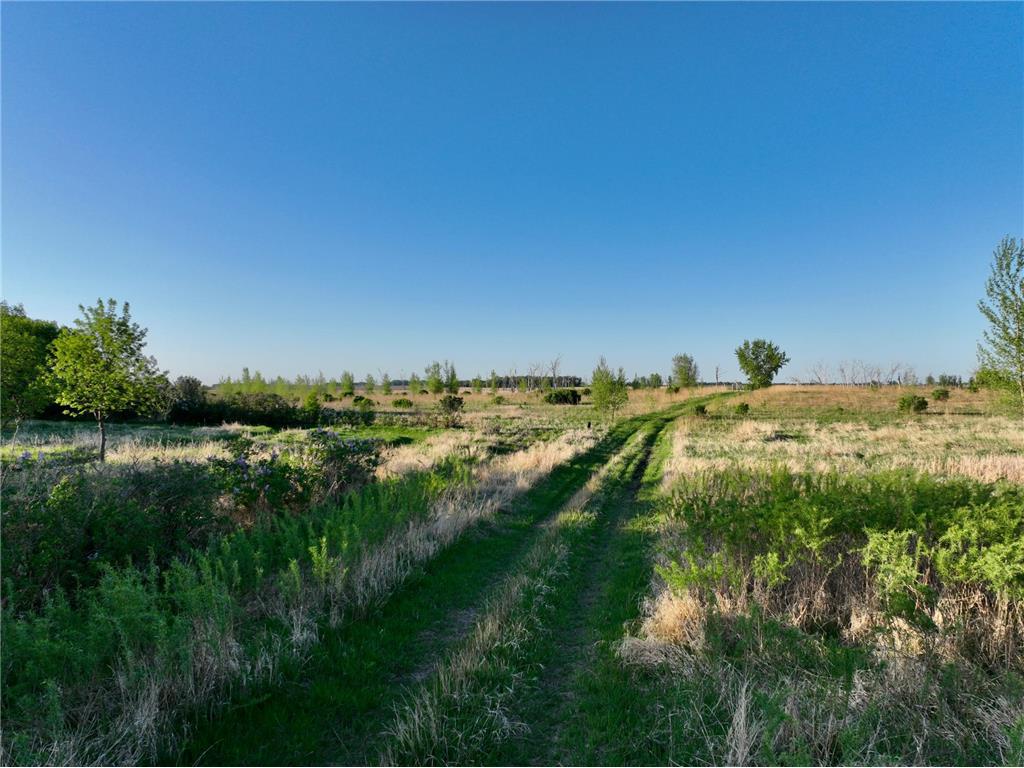 TBD County Highway 14 Madison MN 56256 7014362 image17