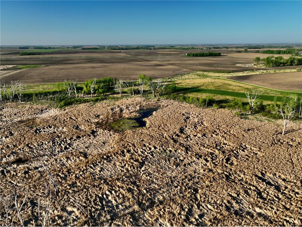 TBD County Highway 14 Madison MN 56256 7014362 image20