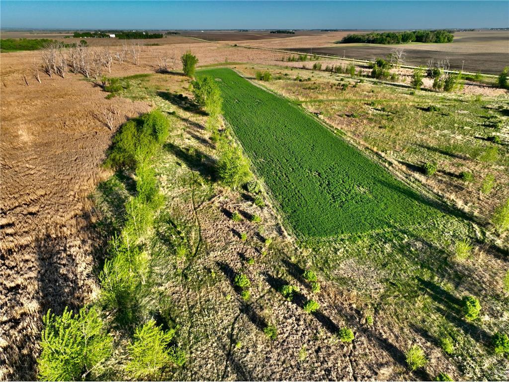 TBD County Highway 14 Madison MN 56256 7014362 image3