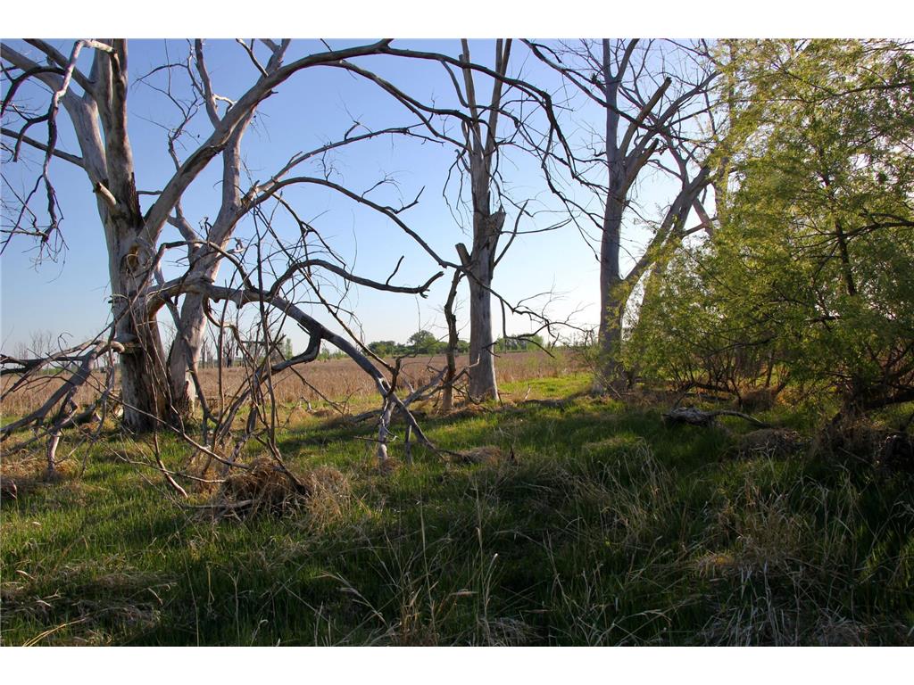 TBD County Highway 14 Madison MN 56256 7014362 image4