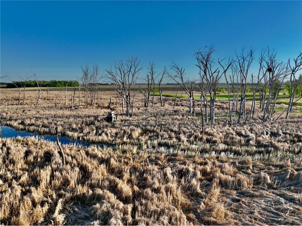 TBD County Highway 14 Madison MN 56256 7014362 image8