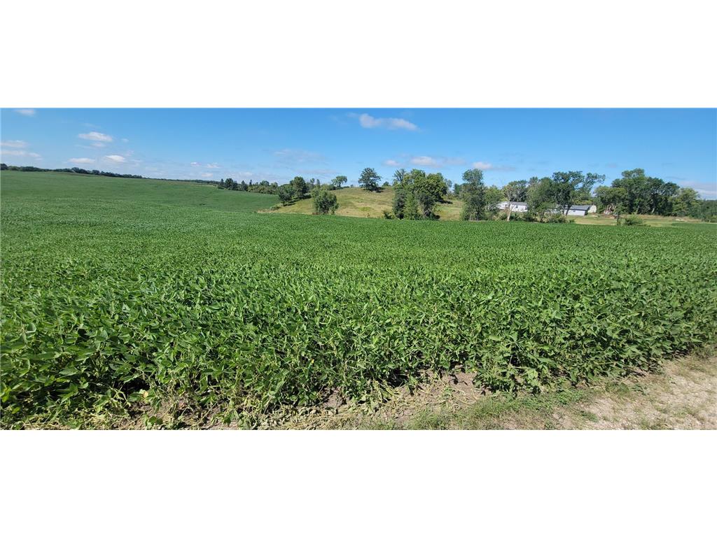 TBD County Highway 15 Detroit Lakes MN 56501 7045903 image2