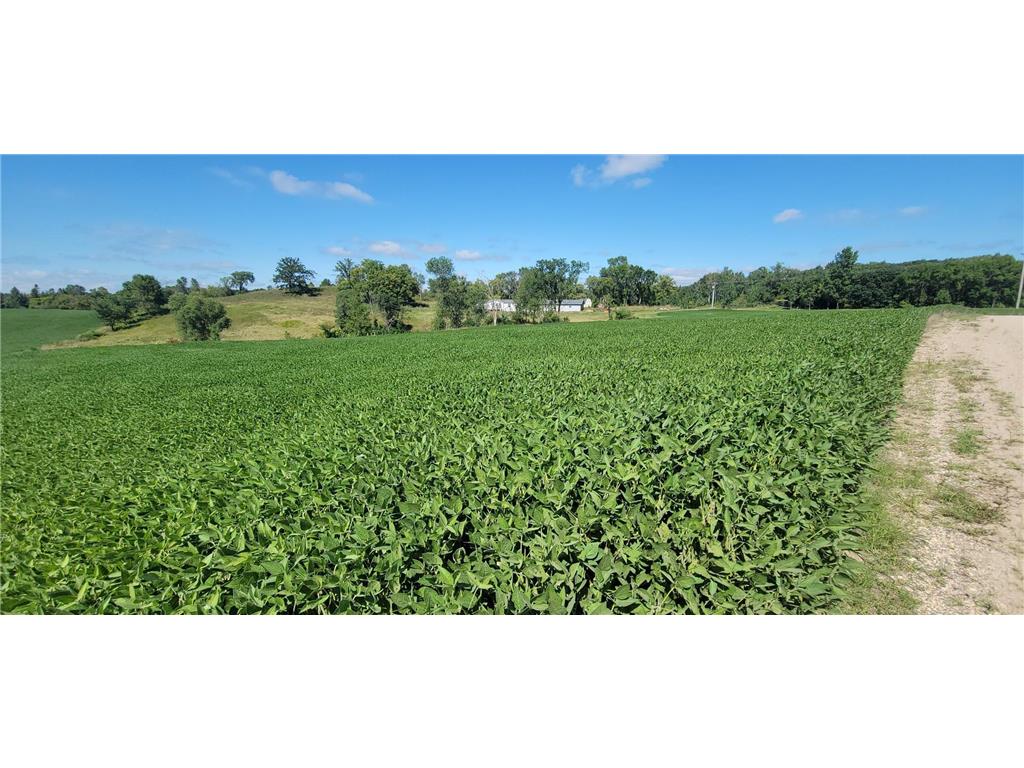 TBD County Highway 15 Detroit Lakes MN 56501 7045903 image3