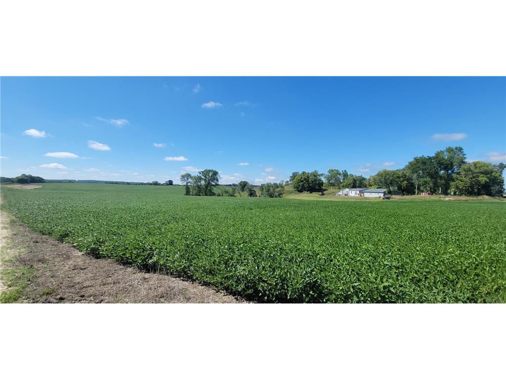 TBD County Highway 15 Detroit Lakes MN 56501 7045903 image4