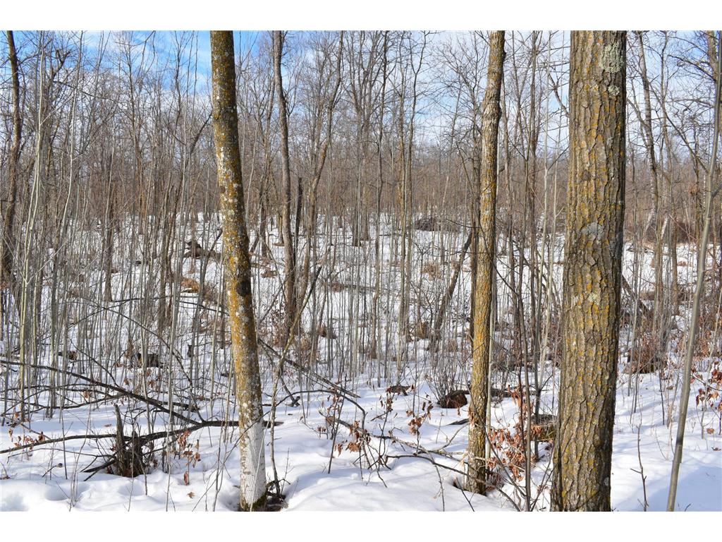 TBD County Highway 26 Rochert MN 56578 7053590 image11