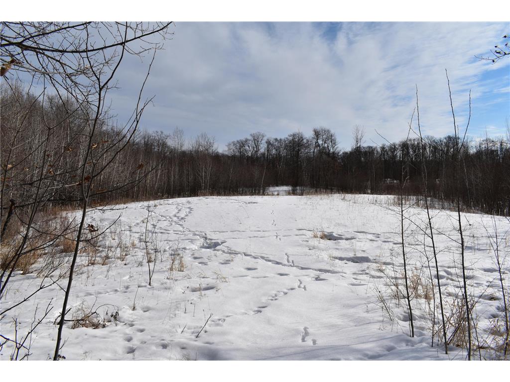 TBD County Highway 26 Rochert MN 56578 7053590 image12