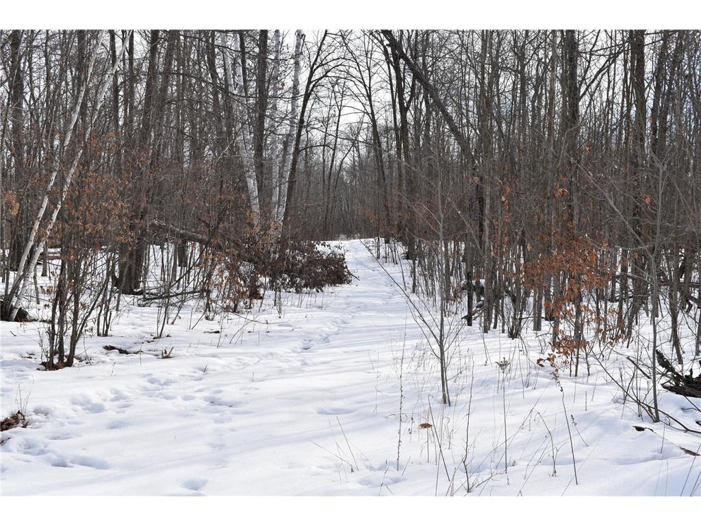 TBD County Highway 26 Rochert MN 56578 7053590 image7