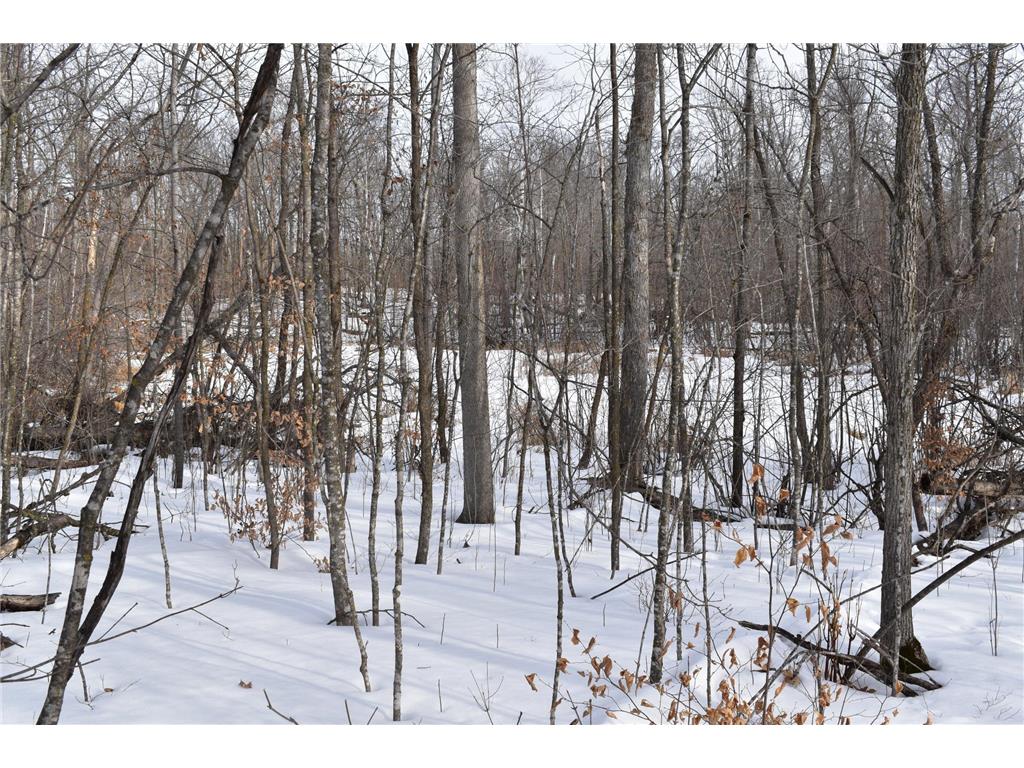 TBD County Highway 26 Rochert MN 56578 7053590 image8