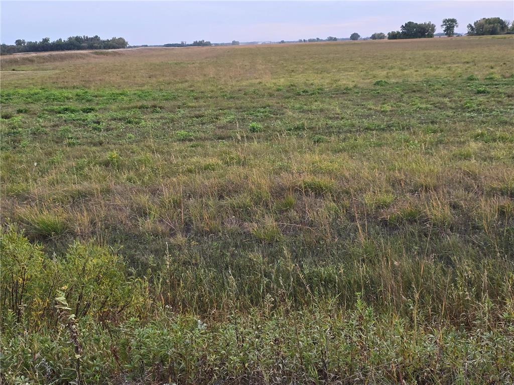 TBD County Highway 32 Gary MN 56545 7014446 image11