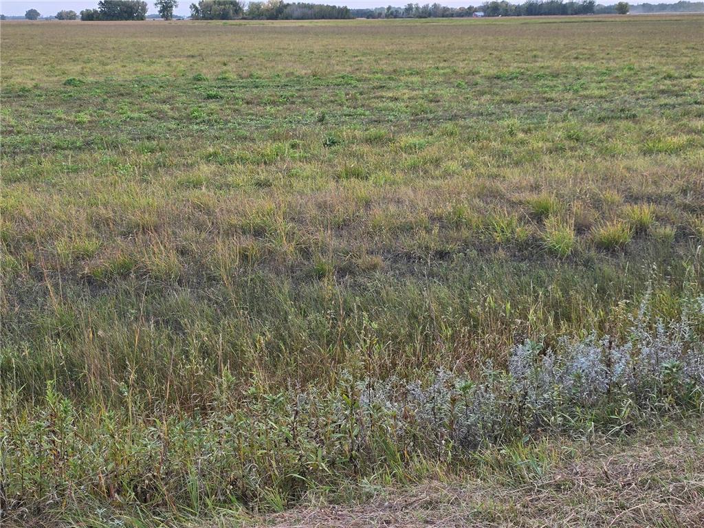 TBD County Highway 32 Gary MN 56545 7014446 image9