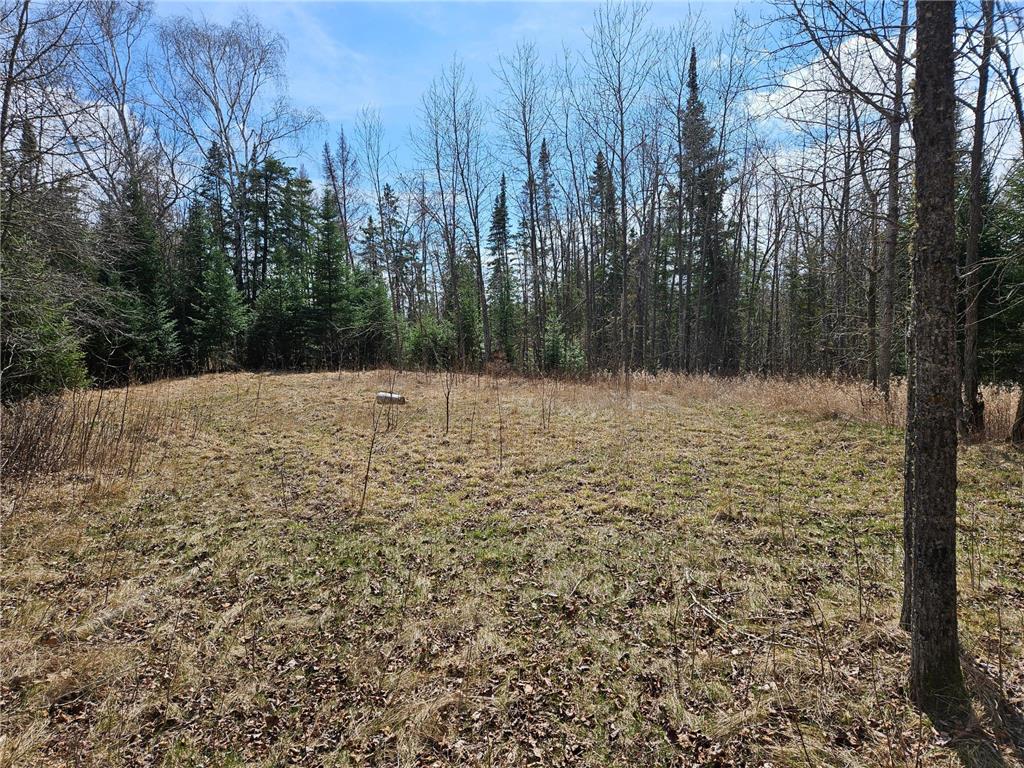 TBD County Highway 39 Osage MN 56570 6499886 image1