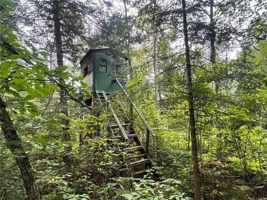 TBD County Highway 39 Ponsford MN 56575 6786937 image1