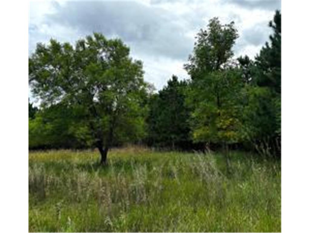 49936 County Highway 54 New York Mills MN 56567 7048974 image14