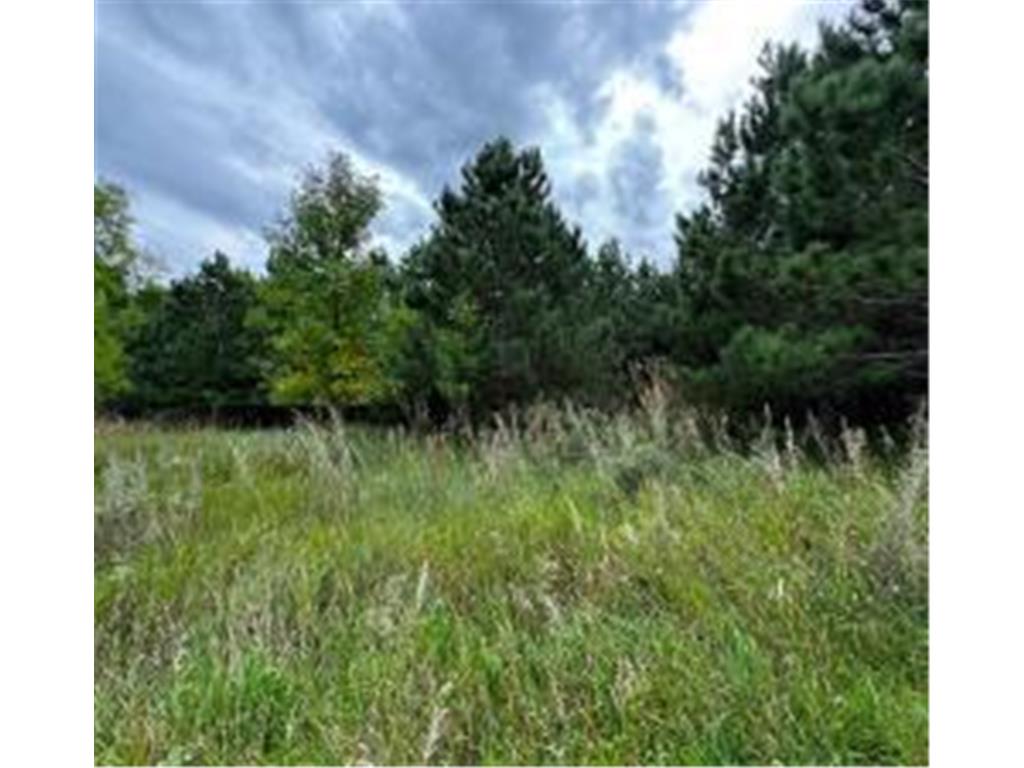 49936 County Highway 54 New York Mills MN 56567 7048974 image17
