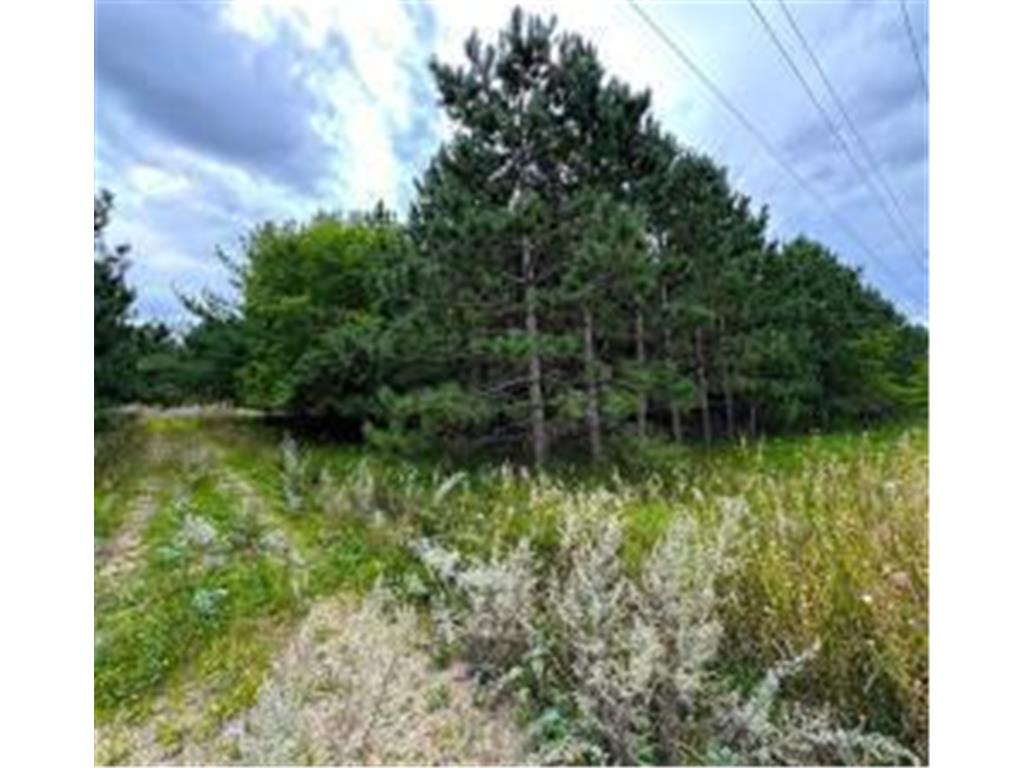 49936 County Highway 54 New York Mills MN 56567 7048974 image2