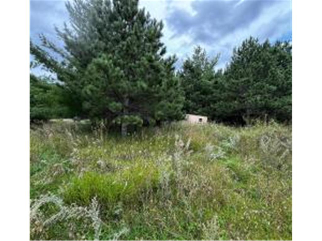 49936 County Highway 54 New York Mills MN 56567 7048974 image20