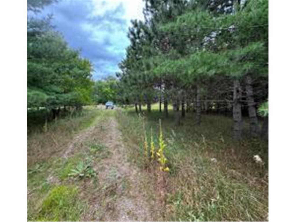 49936 County Highway 54 New York Mills MN 56567 7048974 image21