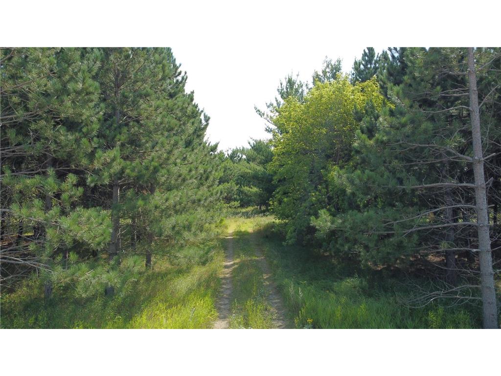 49936 County Highway 54 New York Mills MN 56567 7048974 image26