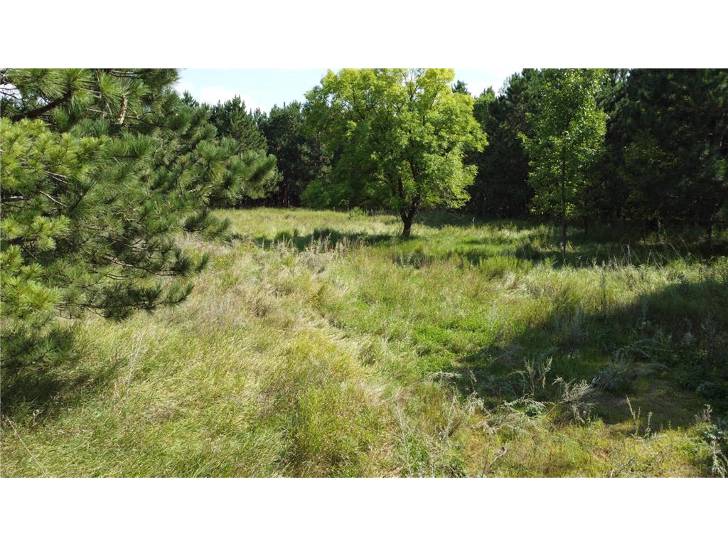 49936 County Highway 54 New York Mills MN 56567 7048974 image37