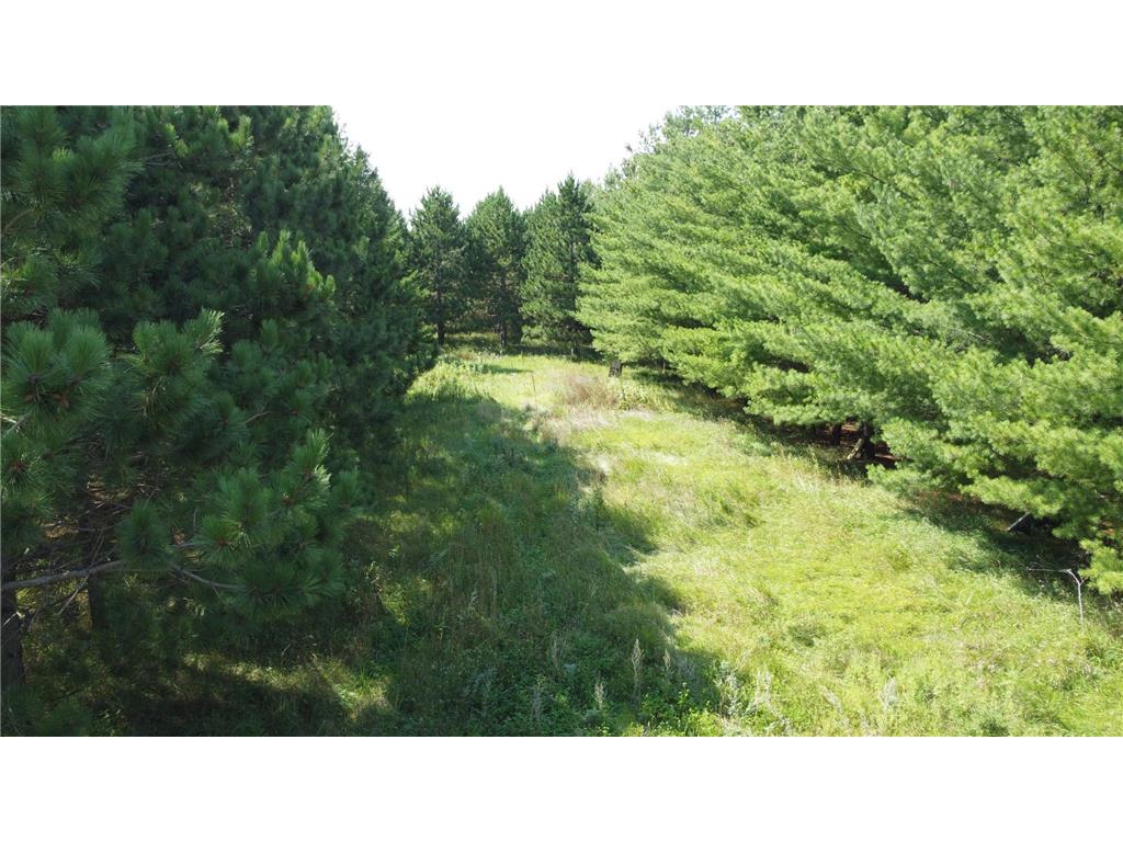 49936 County Highway 54 New York Mills MN 56567 7048974 image38
