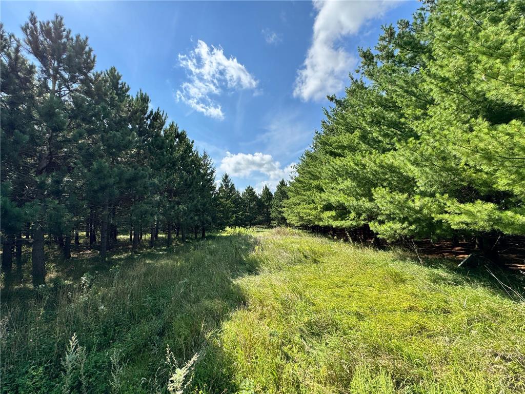49936 County Highway 54 New York Mills MN 56567 7048974 image39