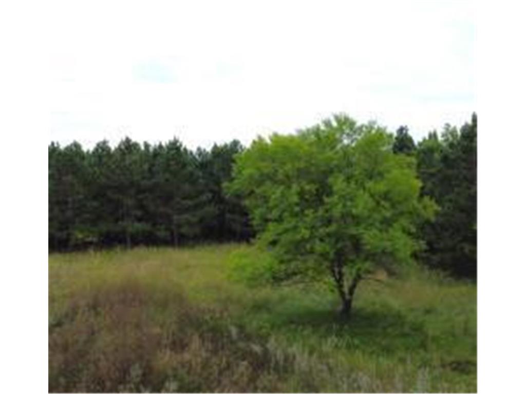49936 County Highway 54 New York Mills MN 56567 7048974 image9