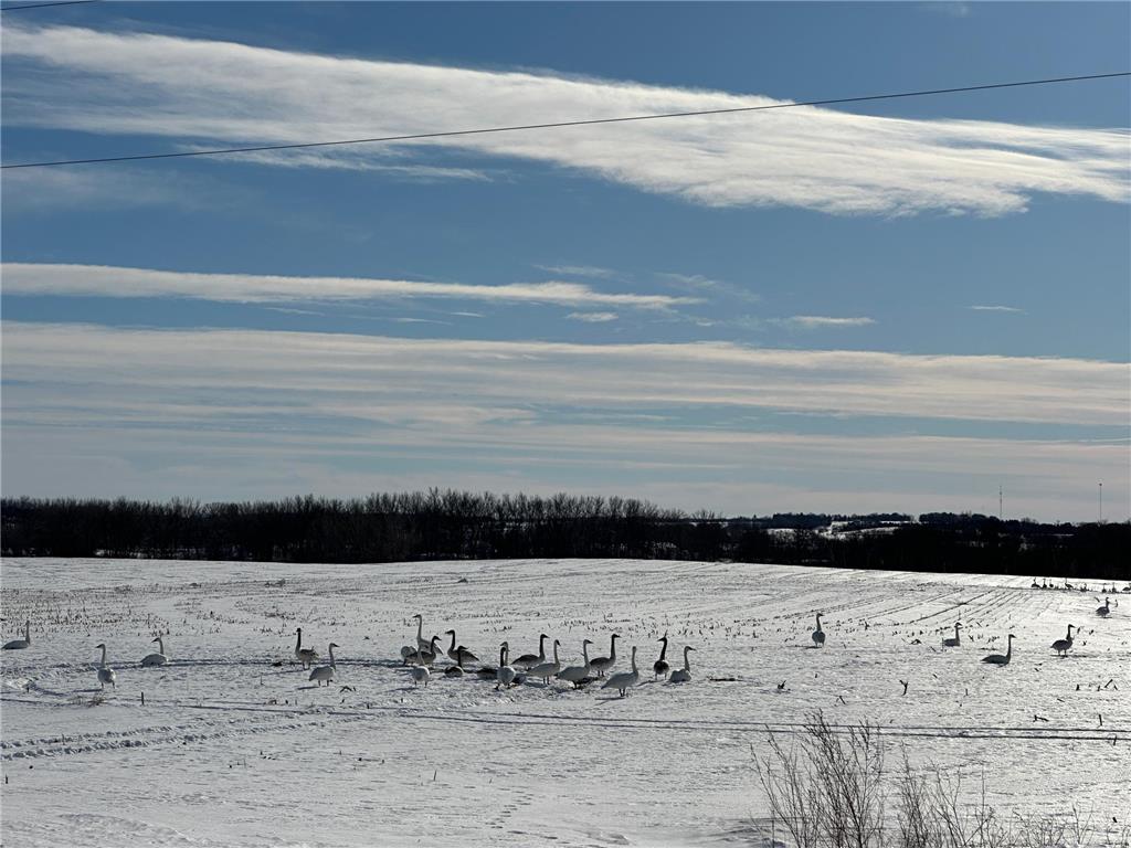 TBD County Hwy 10 Fergus Falls MN 56537 7001358 image10