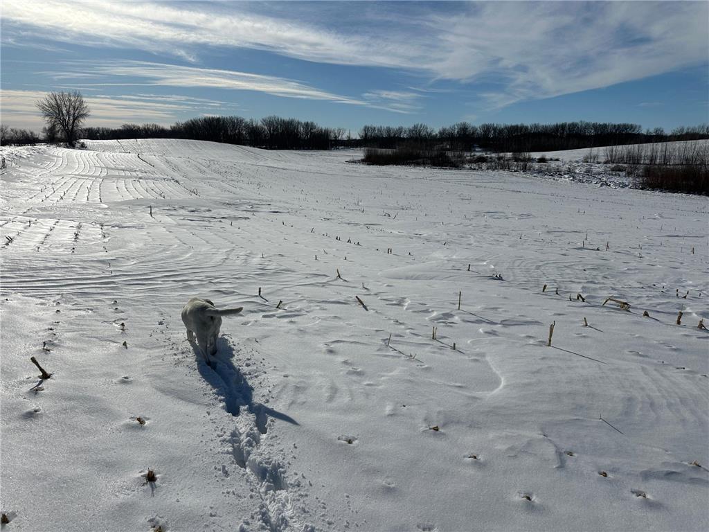 TBD County Hwy 10 Fergus Falls MN 56537 7001358 image7