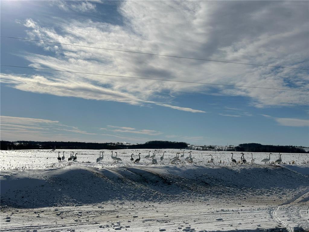 TBD County Hwy 10 Fergus Falls MN 56537 7001358 image9